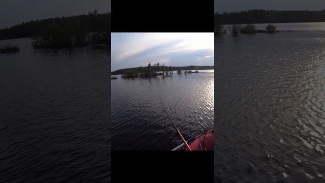 Щучка на джерк #fishing #fishingvideo #рыбалка