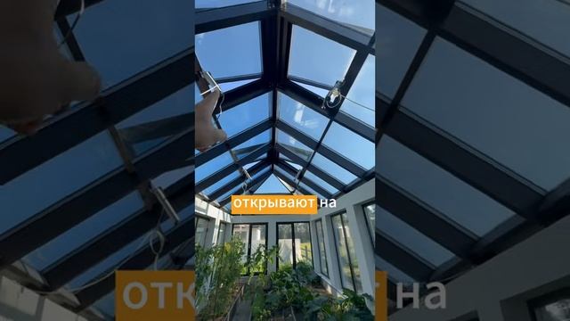 ТЕПЛИЦА МЕЧТЫ! Тепло даже Зимой #shorts