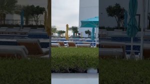 Отель Rove La Mer Dubai