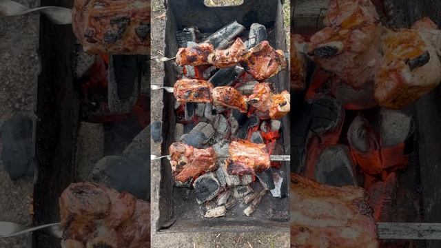 Вкусненько 😋🤤 #шашлык #отдых #путешествие #мотивация #природа #дом #youtube #relax #еда #блюдо смотреть онлайн