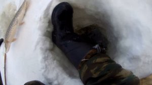 акуна матата