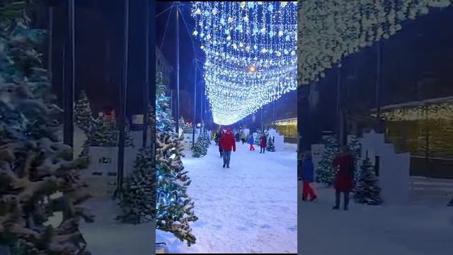 Новогодний Новосибирск