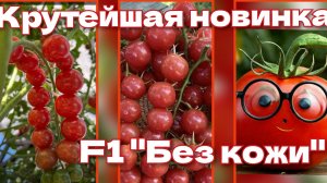 Томат 2025. Супергибрид " Без кожи". Хочется попробовать!