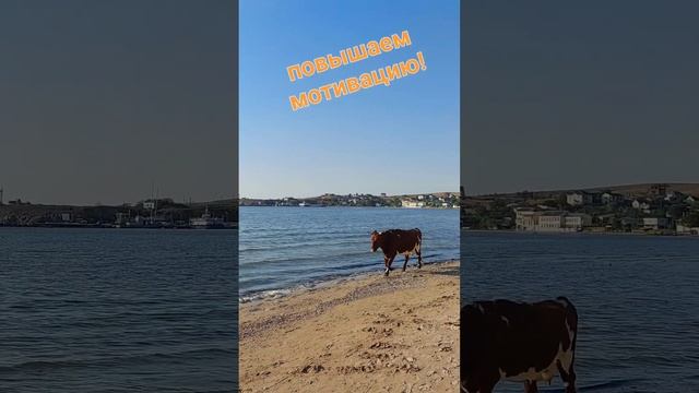 Игра_квест на нашем канале Путь Искателя https://t.me/PathOfSeeker