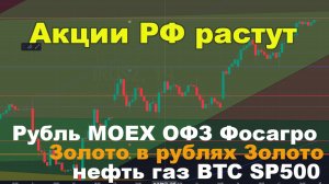 Прогноз курса рубля, рост акций РФ, ОФЗ, нефть, золото в рублях, золото, BTC, газ, SP500, ФосАгро