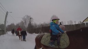 Вывезли детей на свежий воздух с лошадками