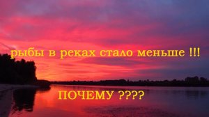 о чём молчат рыбоводы????!!! #1