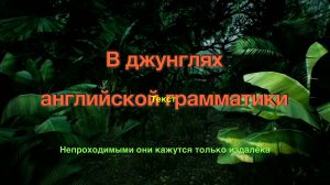 Джунгли. Введение в курс "В Джунглях английской грамматики"