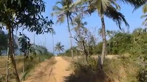 Aldeia Santa Rita Goa beach walk