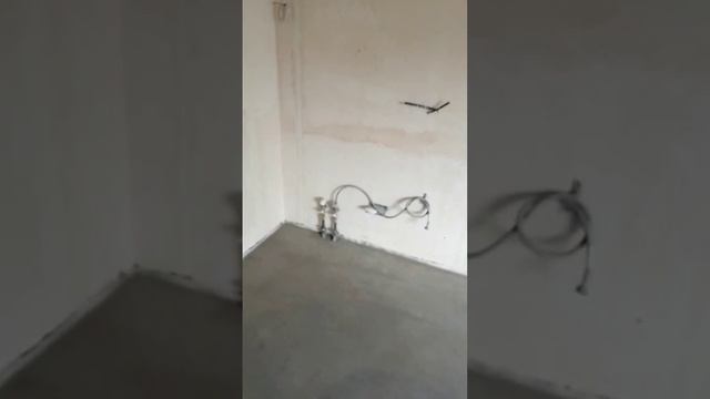 Стяжка на кухне. #стройка #стяжка #shorts #short #shortvideo #стройвсеподряд