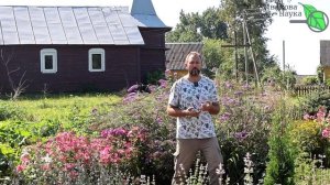 КУДА ДЕТЬ БОТВУ КАРТОФЕЛЯ И ТОМАТОВ ОСЕНЬЮ? 2 умных способа использования с пользой в саду и огород