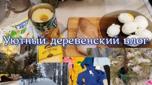 Уютный деревенский влог, жизнь в деревне, распаковка Озон, вкусный салат из курицы и ананасов, елка