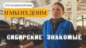 Как подоить корову доильным аппаратом на молочно-товарной ферме. И сколько коров у доярки на группе