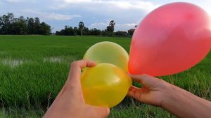 outdoor fun with balloon pop, popping balloons, learn colours, balloon - episode_186