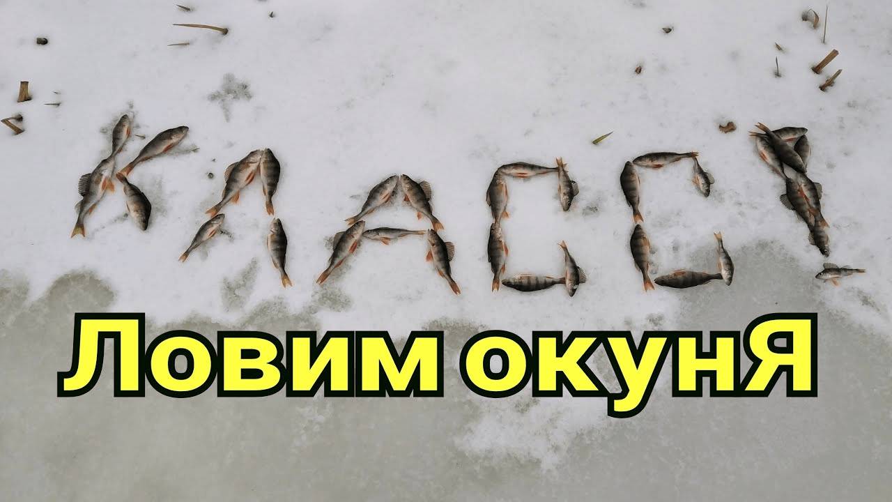 Отличный клёв окуня. Наловили окуней 2020год. смотреть онлайн