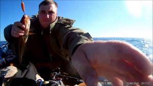 Ловля трески