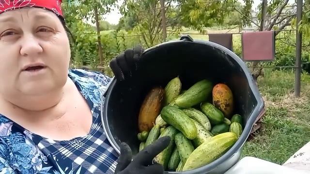 ПЕЧАЛЬНЫЕ НОВОСТИ. 🥲🥲🥲 смотреть онлайн