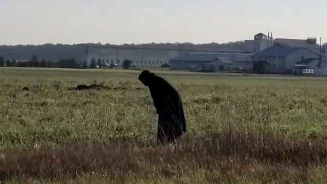 10.22 Съёмки фильма  Крылья  Воронежская область