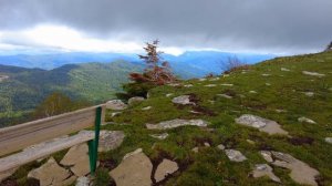 Адыгея. Альпийские луга Лаго-Наки