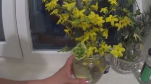 ЖАЛКО ЗЕМЛЯКОВ .