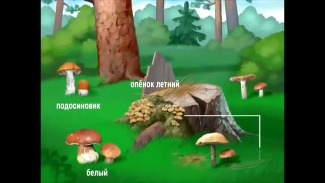 Правила безопасности для малышей/0+