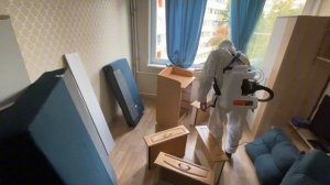 Дезинфекция от клопов в квартире: уничтожение насекомых в Москве