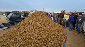 ТУРТКУЛЬ ЕМ ХАШАК НАРХЛАРИ 19.01.2025