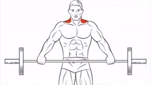 4 лютых упражнения для роста массы спины!