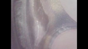 Замена свечей, катушек, чистка ДАД на Уаз Патриот АКПП