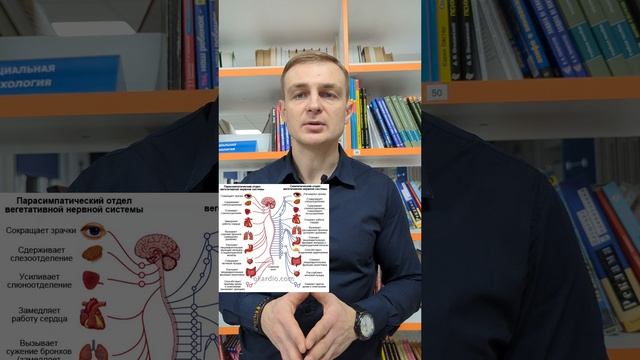 Какие признаки лжи мы можем увидеть? Как работает нервная система лжеца?