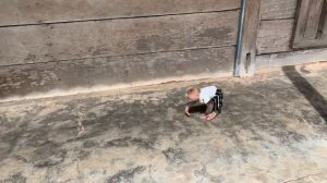 Super Smart! Monkey Mynu asked mother to help wash clothes