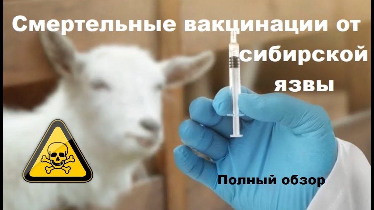 Смертельная вакцина от сибирской язвы полный обзор 2024 смотреть онлайн