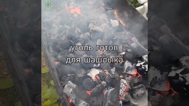 Как быстро разжечь уголь в мангале/Инструкция для новичков