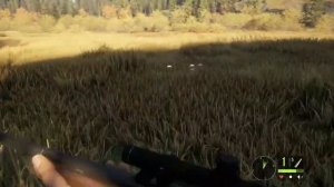 Охота на оленя и медведя