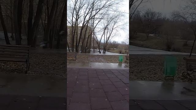 #Весна. Утки на озере в парке #like