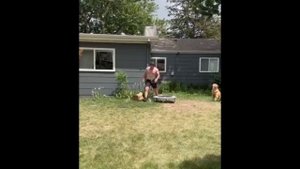 Топ 5 смешные видео