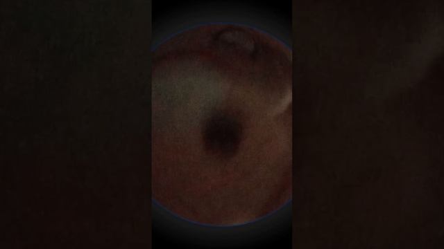 3 мая 2024 г. смотреть онлайн