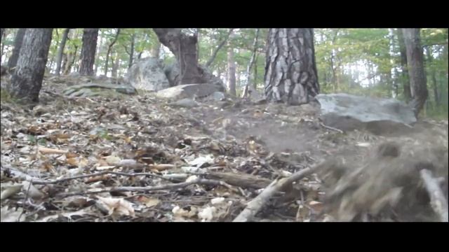 EVADARE ÎN NATURĂ смотреть онлайн