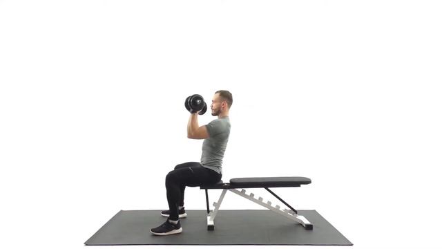 #15 Жим Арнольда сидя. Упражнение на плечи. Техника выполнения. смотреть онлайн