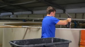 Темпы роста Калуги в узв за 6 месяцев