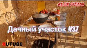 Дачный участок с нуля #37 Готовы к лету