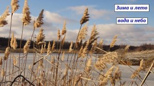 Вода в природе зимой и летом. Лёд, иней, облака. Лебеди, тростник, солонечник