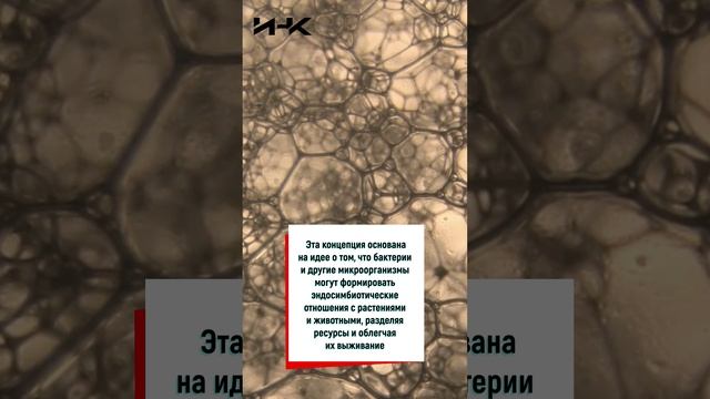 ИНК, институт научных коммуникаций, попкова, новости науки, наука в россии, наука, ученые, будущее