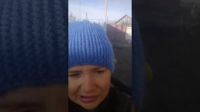 Тушёнка из птицы смотреть онлайн