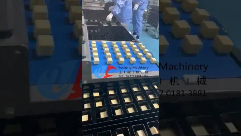 Automatic loaf toast bread machine forming processing production line