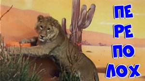 ШЕРХАН и два друга. Переполох в домике. У ПОРША сломалась рычалка / С Крещением, друзья! (1 выпуск)