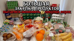 большая закупка продуктов / закупка впрок / закупка в запас / экономия