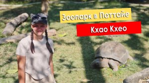 Зоопарк Кхао Кхео в Паттайе.