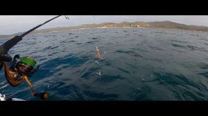 Jet Ski Fishing Sea-Doo Fish Pro 2020 First trip