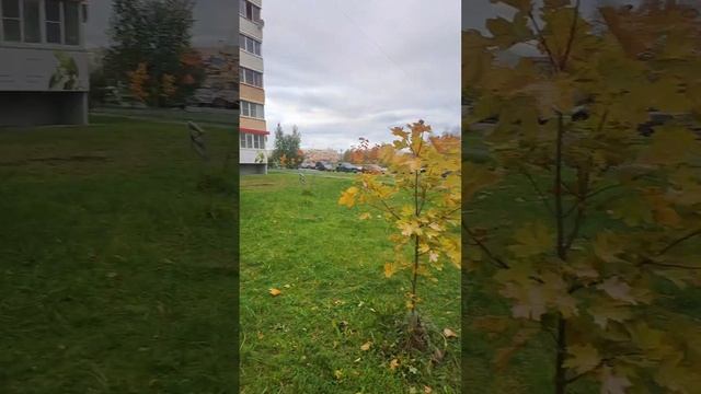 Осень в Великом Новгороде